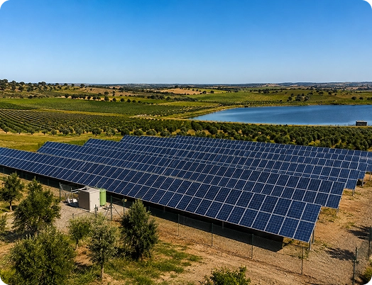 Uma extensa instalação de painéis solares montados no solo, instalada em um ambiente agrícola rural, fornecendo geração de eletricidade sustentável enquanto se integra com a paisagem circundante.